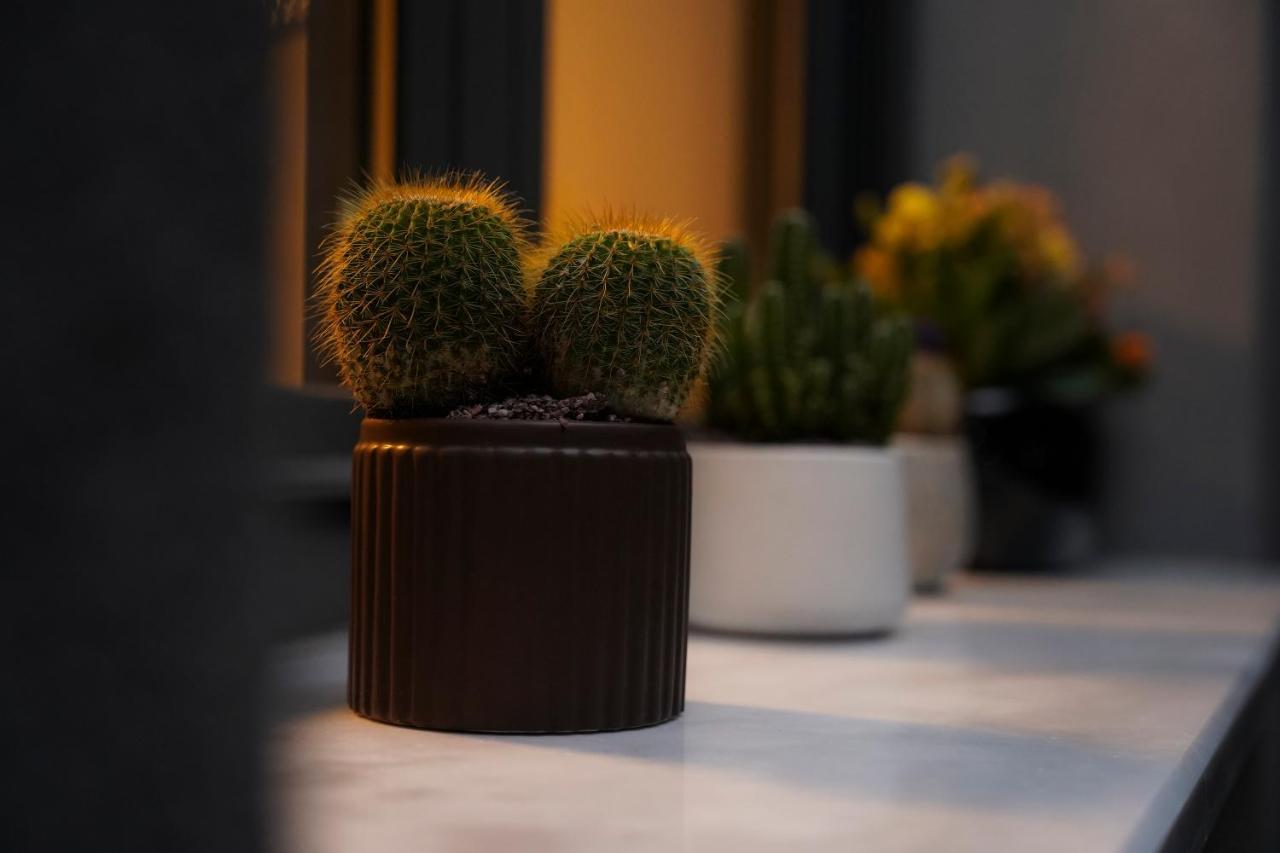 Quattro Luxury Apartments Tríkala エクステリア 写真